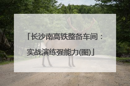 长沙南高铁整备车间：实战演练强能力(图)