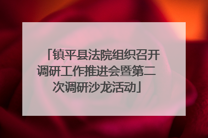 镇平县法院组织召开调研工作推进会暨第二次调研沙龙活动