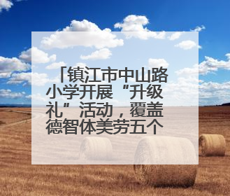 镇江市中山路小学开展“升级礼”活动，覆盖德智体美劳五个领域