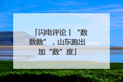 闪电评论丨“数数数”，山东跑出加“数”度