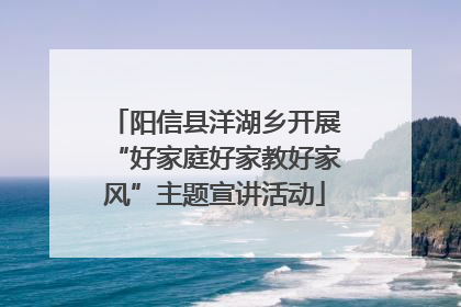 阳信县洋湖乡开展“好家庭好家教好家风”主题宣讲活动