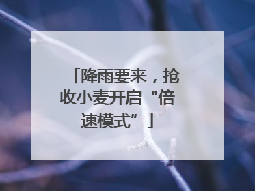降雨要来，抢收小麦开启“倍速模式”