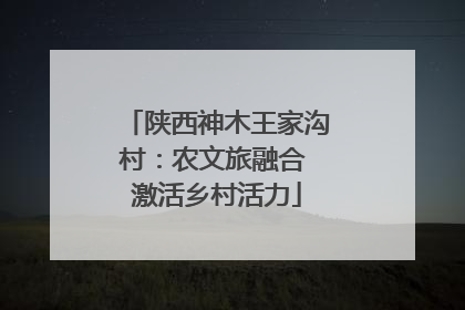 陕西神木王家沟村：农文旅融合 激活乡村活力