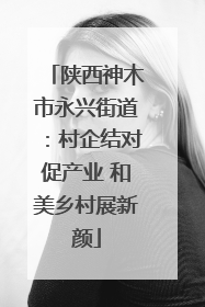 陕西神木市永兴街道：村企结对促产业 和美乡村展新颜