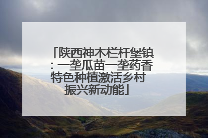 陕西神木栏杆堡镇：一垄瓜苗一垄药香 特色种植激活乡村振兴新动能