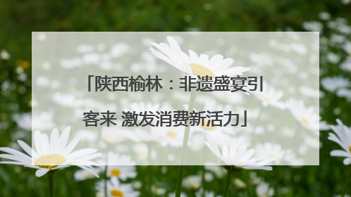 陕西榆林：非遗盛宴引客来 激发消费新活力