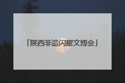 陕西非遗闪耀文博会