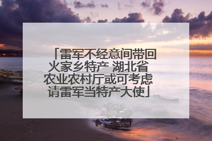 雷军不经意间带回火家乡特产 湖北省农业农村厅或可考虑请雷军当特产大使