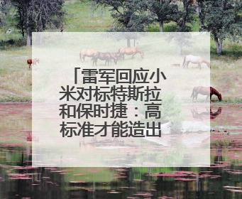 雷军回应小米对标特斯拉和保时捷：高标准才能造出一辆好车