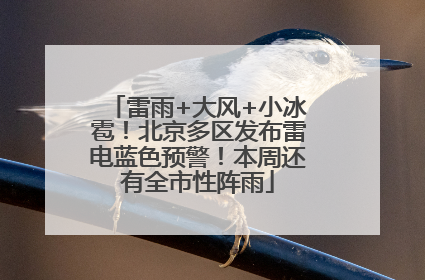 雷雨+大风+小冰雹！北京多区发布雷电蓝色预警！本周还有全市性阵雨
