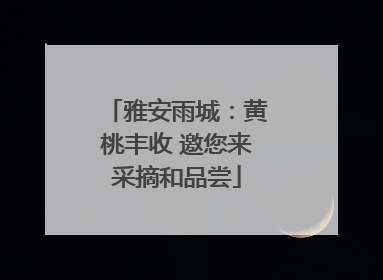 雅安雨城：黄桃丰收 邀您来采摘和品尝