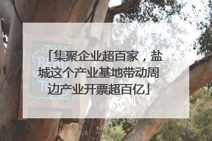 集聚企业超百家，盐城这个产业基地带动周边产业开票超百亿