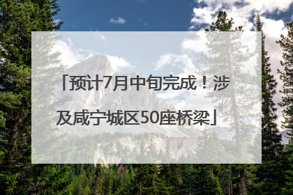预计7月中旬完成！涉及咸宁城区50座桥梁