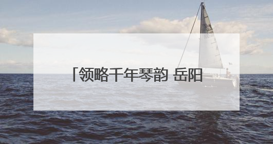 领略千年琴韵 岳阳市古琴协会一行参观岳阳楼博物馆古琴展