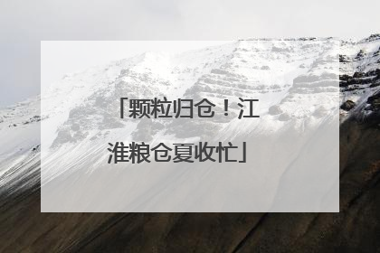 颗粒归仓！江淮粮仓夏收忙