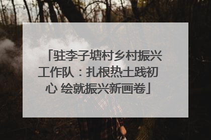 驻李子塘村乡村振兴工作队：扎根热土践初心 绘就振兴新画卷