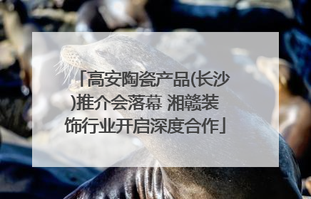 高安陶瓷产品(长沙)推介会落幕 湘赣装饰行业开启深度合作