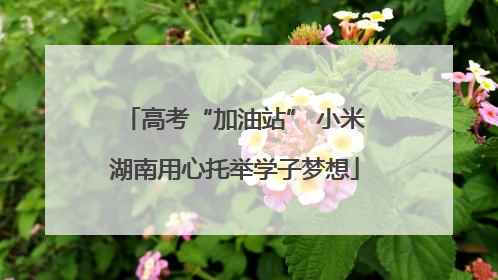 高考“加油站” 小米湖南用心托举学子梦想