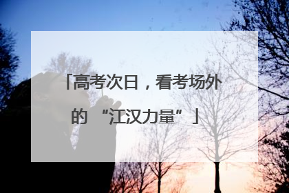 高考次日，看考场外的 “江汉力量”