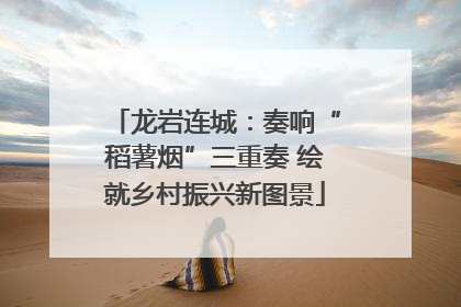 龙岩连城：奏响“稻薯烟”三重奏 绘就乡村振兴新图景