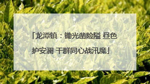 龙潭镇：锄光凿险隘 昼色护安澜 干群同心战汛魔