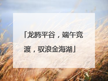 龙腾平谷，端午竞渡，驭浪金海湖