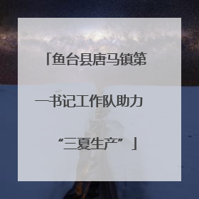 鱼台县唐马镇第一书记工作队助力“三夏生产”