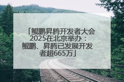 鲲鹏昇腾开发者大会2025在北京举办：鲲鹏、昇腾已发展开发者超665万