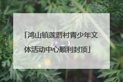 鸿山镇莲厝村青少年文体活动中心顺利封顶