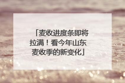 麦收进度条即将拉满！看今年山东麦收季的新变化