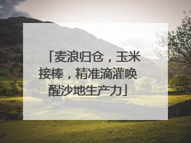 麦浪归仓，玉米接棒，精准滴灌唤醒沙地生产力