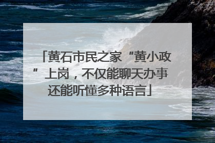 黄石市民之家“黄小政”上岗，不仅能聊天办事还能听懂多种语言