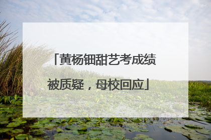 黄杨钿甜艺考成绩被质疑，母校回应