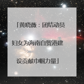 黄晓薇：团结动员妇女为海南自贸港建设贡献巾帼力量