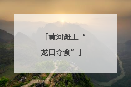 黄河滩上“龙口夺食”
