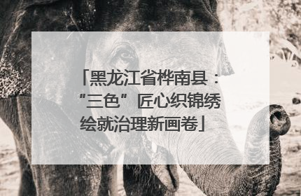 黑龙江省桦南县：“三色”匠心织锦绣 绘就治理新画卷