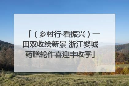 （乡村行·看振兴）一田双收绘新景 浙江婺城药膳轮作喜迎丰收季