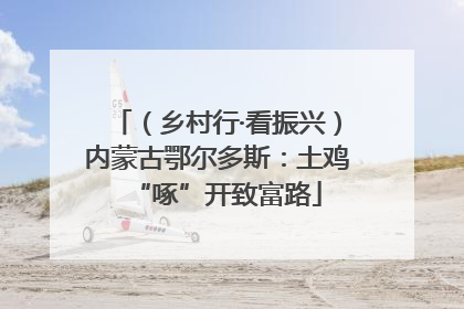 （乡村行·看振兴）内蒙古鄂尔多斯：土鸡“啄”开致富路