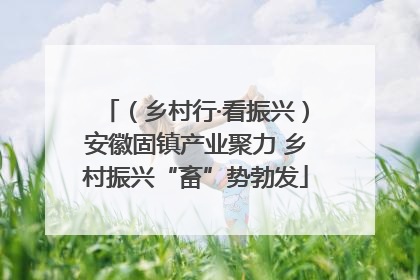 （乡村行·看振兴）安徽固镇产业聚力 乡村振兴“畜”势勃发