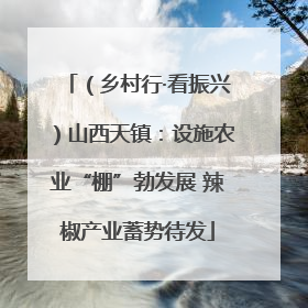 （乡村行·看振兴）山西天镇：设施农业“棚”勃发展 辣椒产业蓄势待发