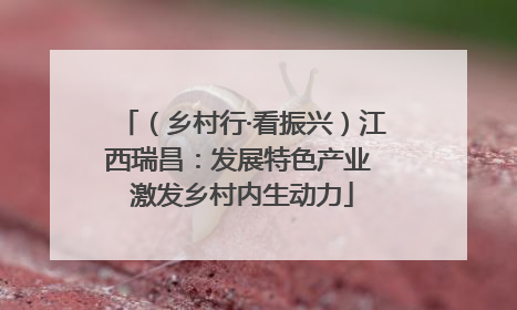 （乡村行·看振兴）江西瑞昌：发展特色产业 激发乡村内生动力