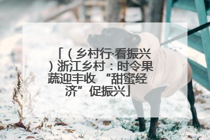 （乡村行·看振兴）浙江乡村：时令果蔬迎丰收 “甜蜜经济”促振兴