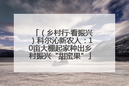（乡村行·看振兴）科尔沁新农人：10亩大棚起家种出乡村振兴“甜蜜果”