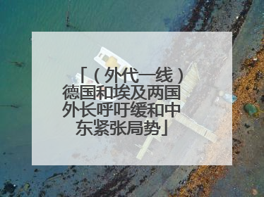 （外代一线）德国和埃及两国外长呼吁缓和中东紧张局势