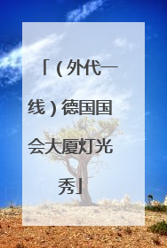 （外代一线）德国国会大厦灯光秀