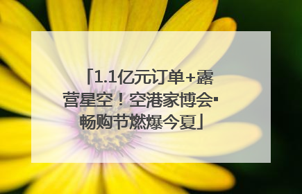 1.1亿元订单+露营星空！空港家博会▪畅购节燃爆今夏
