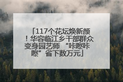 117个花坛焕新颜！华容临江乡干部群众变身园艺师 “咔嚓咔嚓”省下数万元