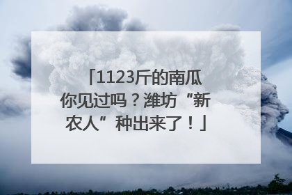 1123斤的南瓜你见过吗？潍坊“新农人”种出来了！