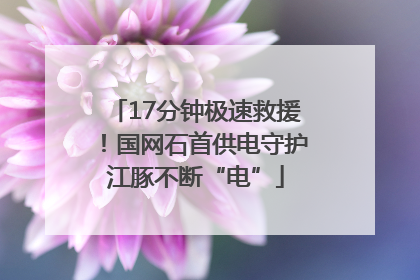 17分钟极速救援！国网石首供电守护江豚不断“电”