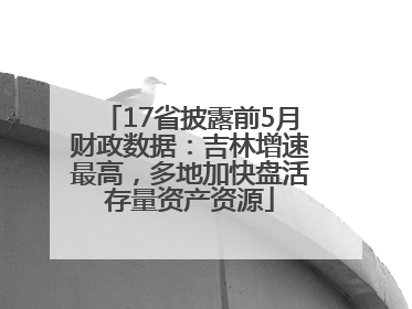 17省披露前5月财政数据：吉林增速最高，多地加快盘活存量资产资源